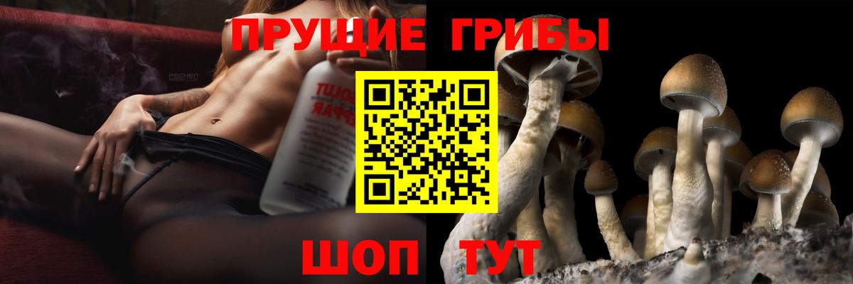 Галлюциногенные грибы прущие грибы Воткинск